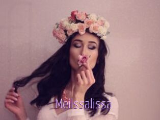 Meilssalissa