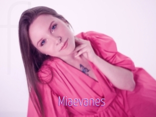 Miaevanes