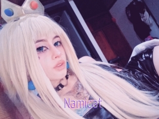 Namicat