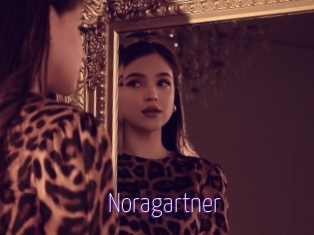 Noragartner