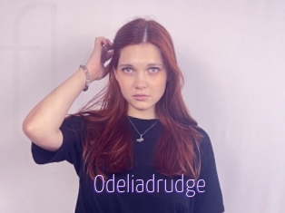 Odeliadrudge