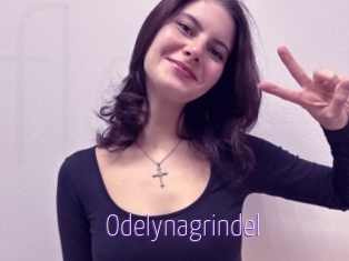 Odelynagrindel