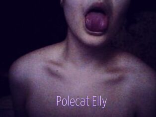 Polecat_Elly