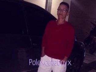 Polexcuteboyx