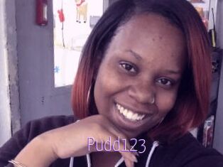 Pudd123