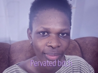 Pervated_bitch