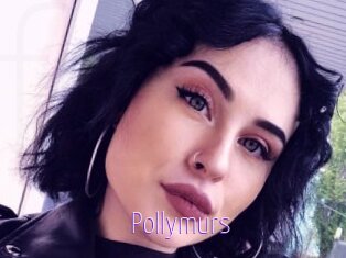 Pollymurs