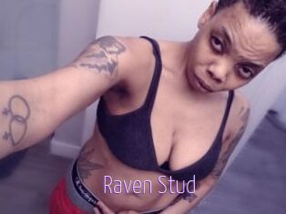 Raven_Stud