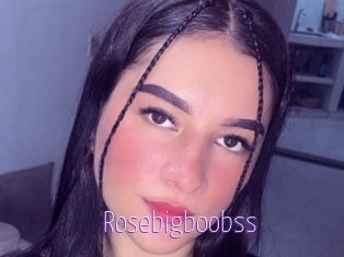 Rosebigboobss