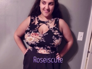 Roseiscute