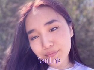 SaniLink