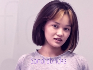 Sandrabricks