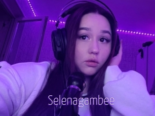 Selenagambee