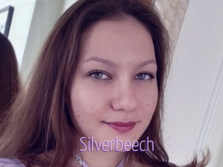 Silverbeech