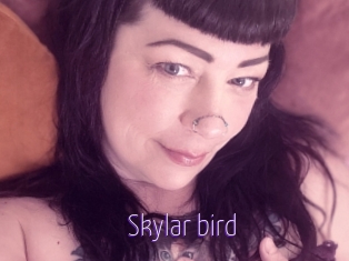 Skylar_bird