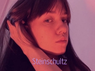 Steinschultz