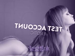 TesztErik