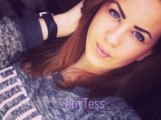 TinyTess