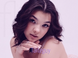 Taiteguy