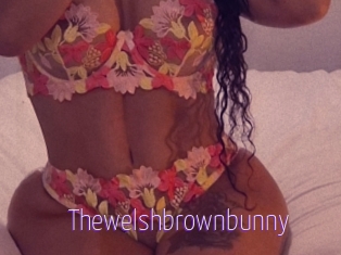 Thewelshbrownbunny