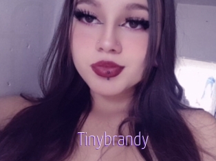 Tinybrandy