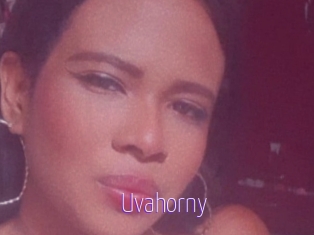 Uvahorny