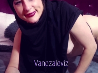 Vanezaleviz