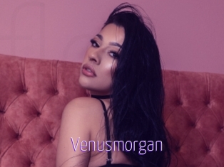 Venusmorgan