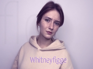 Whitneyfigge